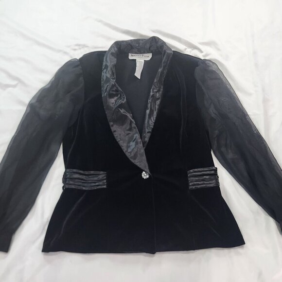 Velvet Evening Blouse, M, Vintage, Sheer Sleeves, Another Thyme,
Lot I - Picture 2 of 7
